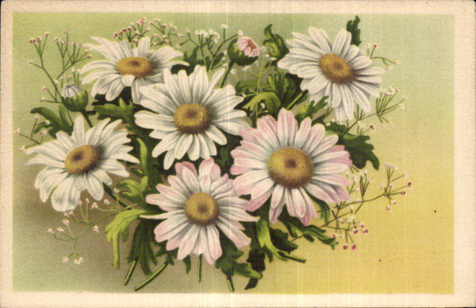 CPA Fantaisie Fleurs 