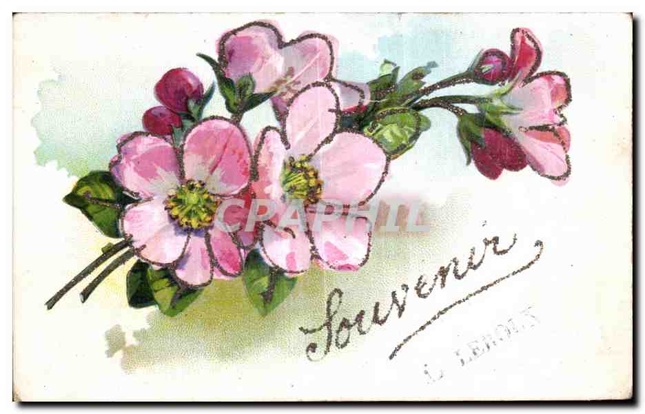CPA Fantaisie Fleurs 