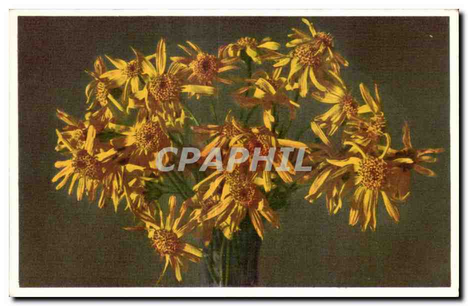 CPA Fantaisie Fleurs 