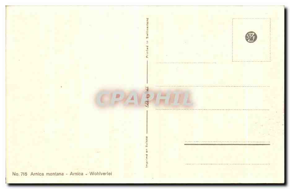 CPA Fantaisie Fleurs  — Verso