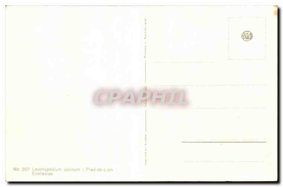 CPA Fantaisie Fleurs  — Verso