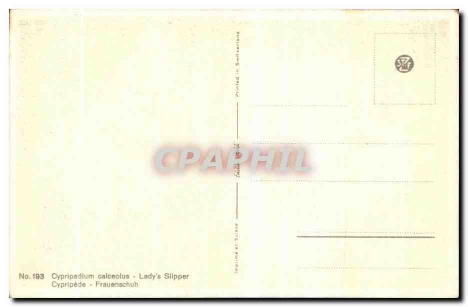 CPA Fantaisie Fleurs  — Verso