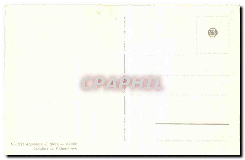 CPA Fantaisie Fleurs  — Verso