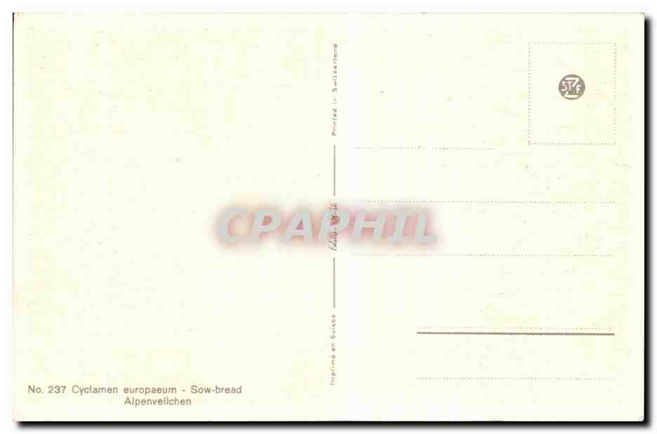 CPA Fantaisie Fleurs  — Verso