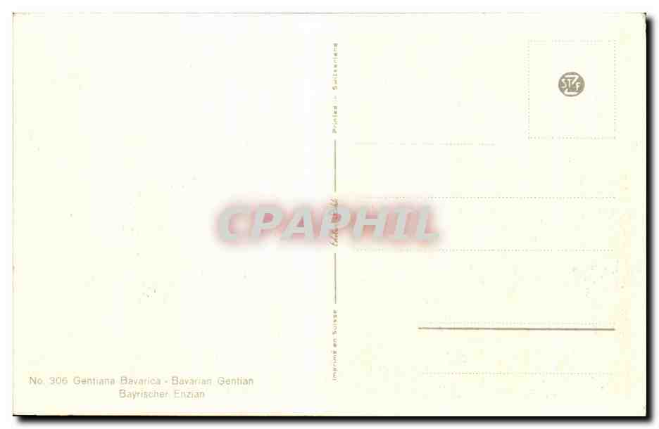CPA Fantaisie Fleurs  — Verso