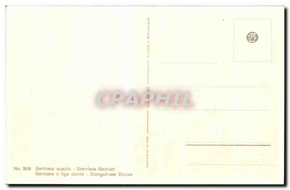CPA Fantaisie Fleurs  — Verso