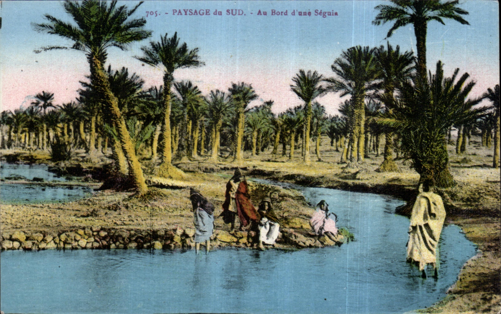 CPA Algerie Paysage du Sud Au Bord d une Seguis