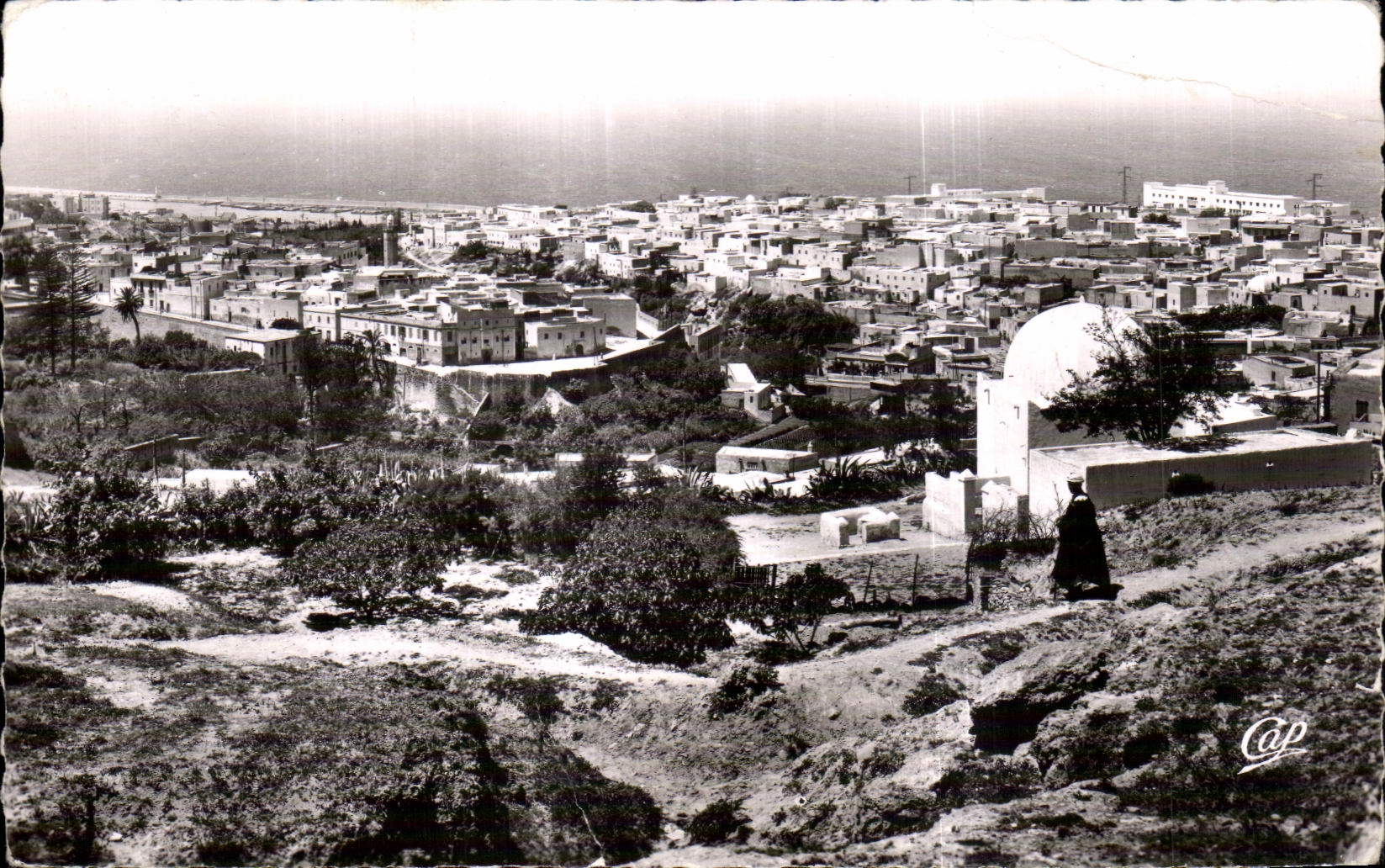 CPA Algerie Mostaganem Vue generale su la ville arabe et le Marabout abd el Kader