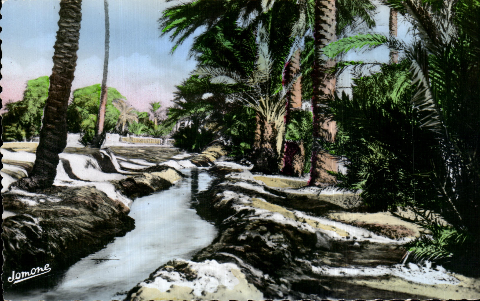 Biskra — Une Seghia dans la Palmeraie — Jomone