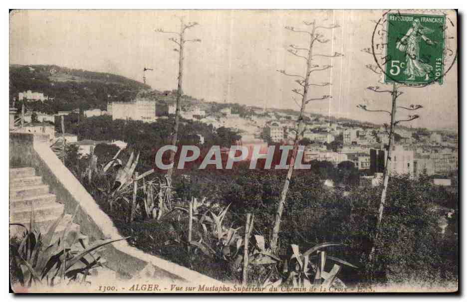 Algér - Vue sur Mustapha-Supérieur du Chemin de la Croix - B.S.