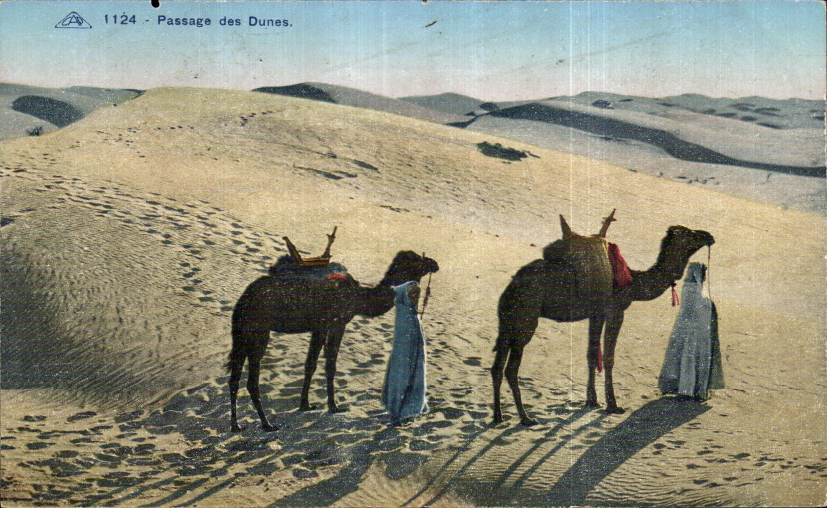 CPA Algerie Passage des Dunes chameau Camel 