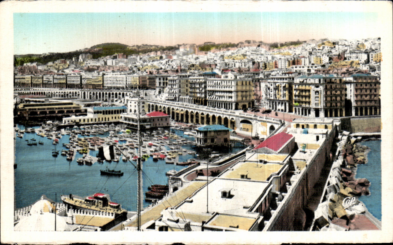 CPA Algerie Alger Vue generale sur le centre de la ville