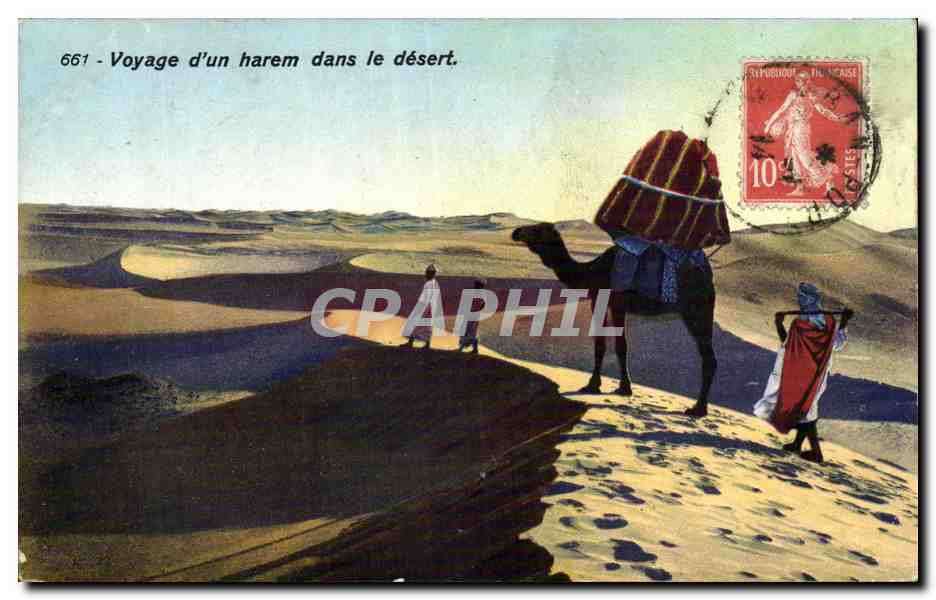 CPA Algerie Voyage d un harem dans le desert 
