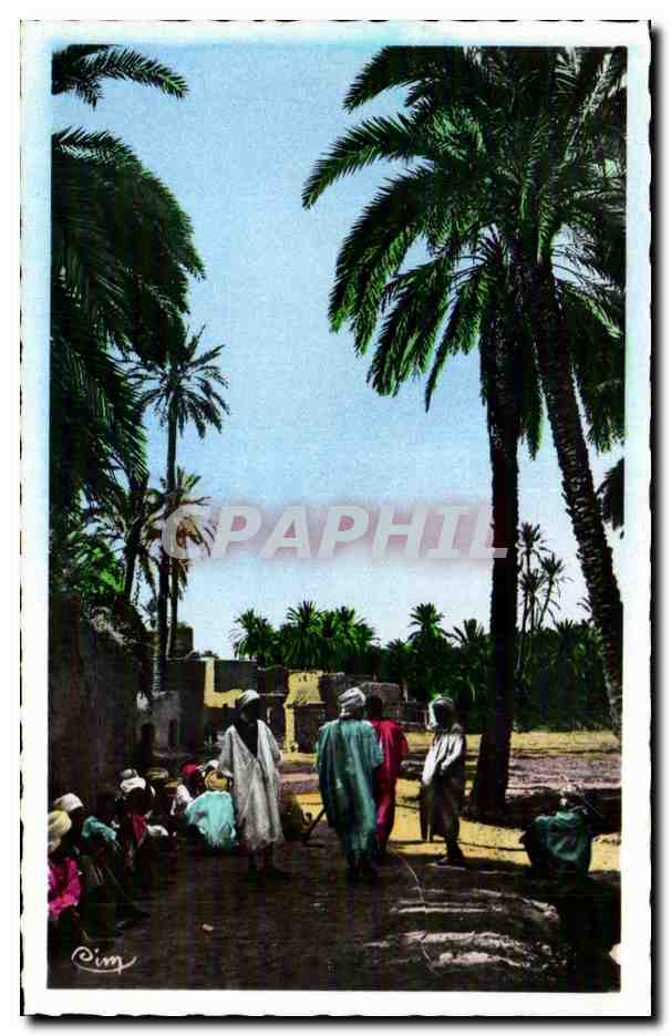 CPA Algerie COLLECTION ARTISTIQUE Biskra
