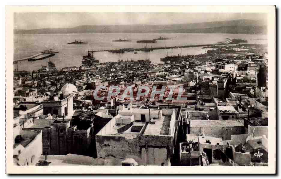 CPA Algerie ALGER Vue generale - Les Terrasses de la Casbah