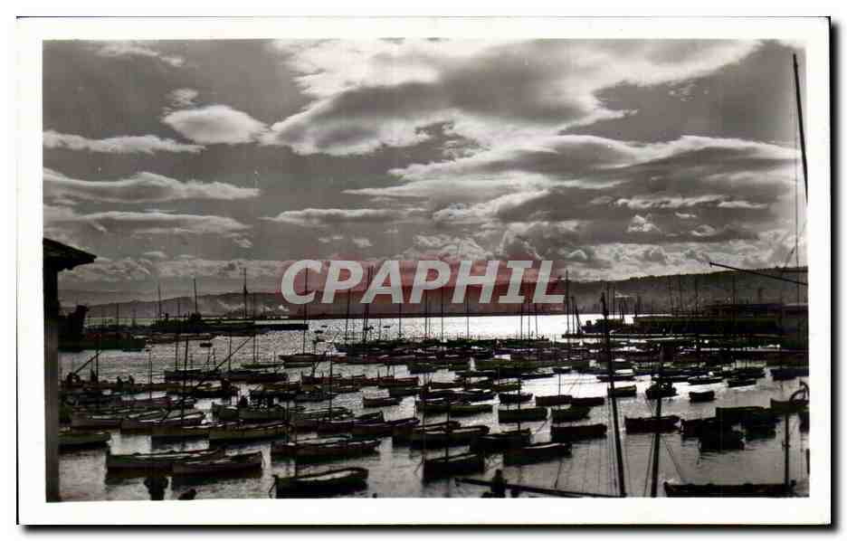 CPA Algerie Alger Un coin du sport nautique