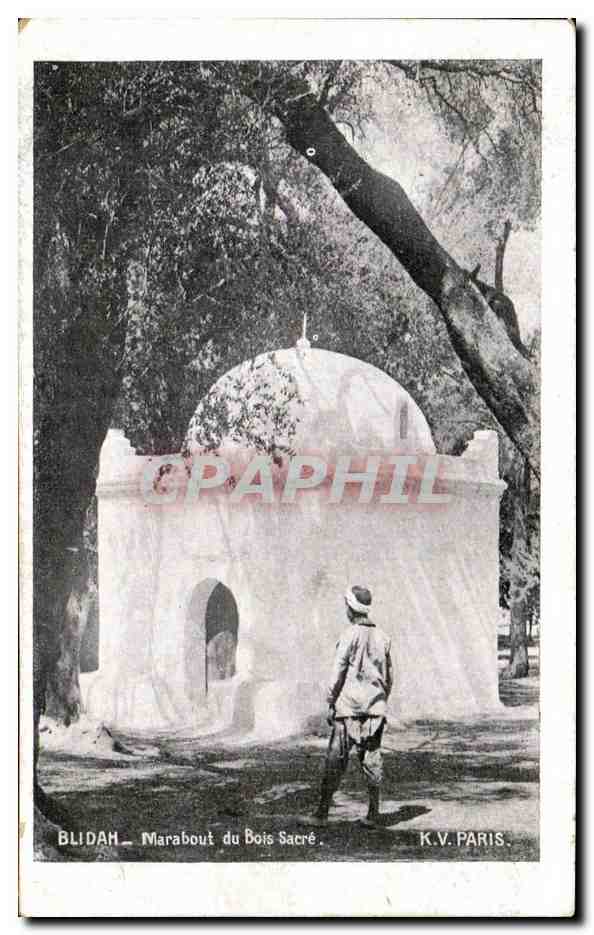 Blida — Marabout du Bois Sacré — K.V. Paris