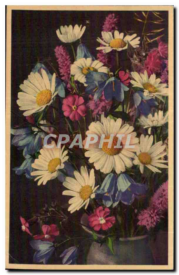 CPA Fantaisie Fleurs 