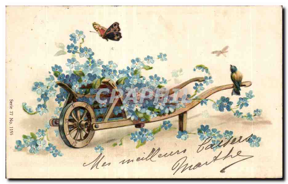 CPA Fantaisie Fleurs Papillon Butterfly
