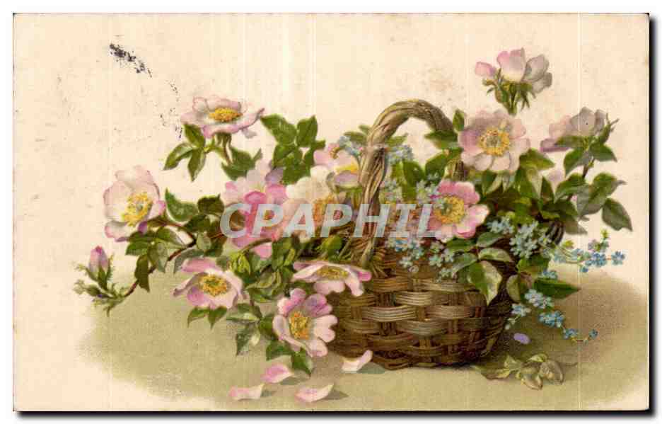 CPA Fantaisie Fleurs 