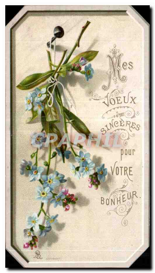 CPA Fantaisie Fleurs 