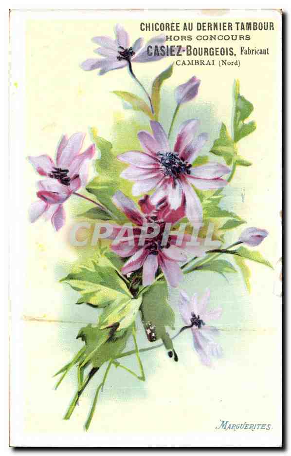 CPA Fantaisie Fleurs Publicite Chicoree du dernier tambour Cambrai