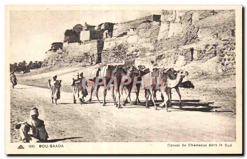 Bou-Saada — Convoi de Chameaux dans le Sud — éditeur ARA, n° 1041