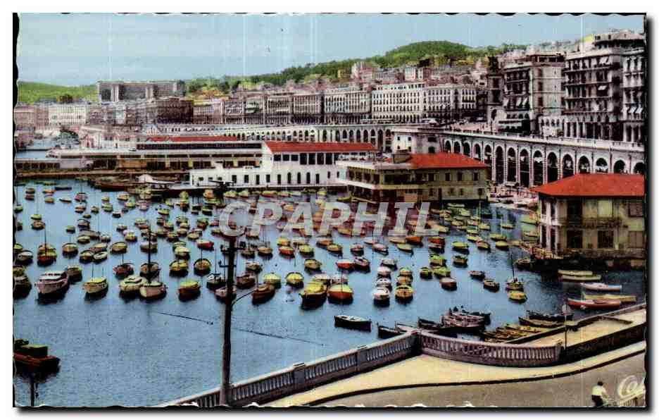 CPSM Algerie ALGER Vue generale le Port et la Ville