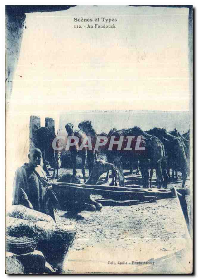 CPA Algerie Scenes et Types Au Foudouck Chameau Camel 