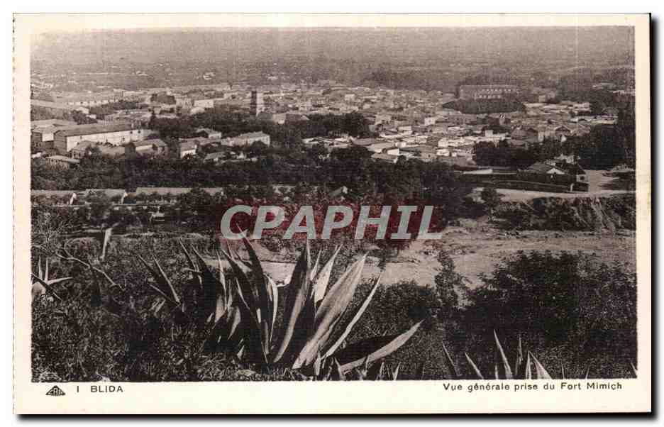 CPA Algerie BLIDA Vue generale prise du Fort Mimich