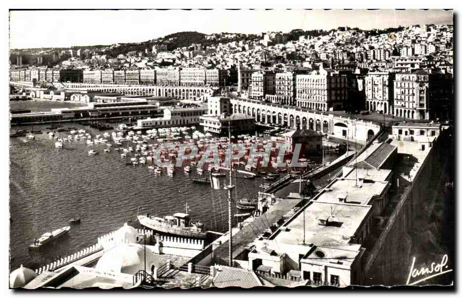 CPSM Algerie ALGER -Vue generale