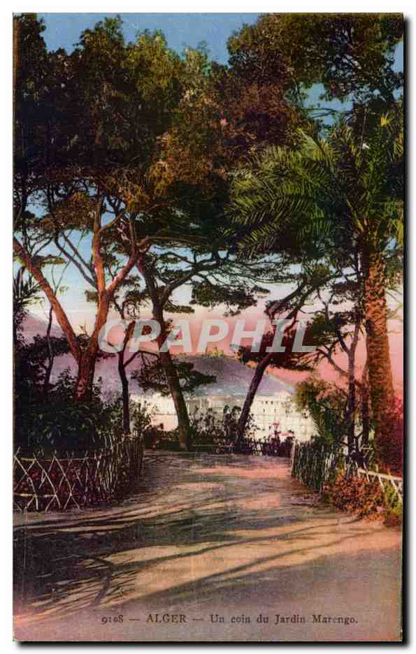 Alger — Un coin du Jardin Marengo — CPAPHIL 9168