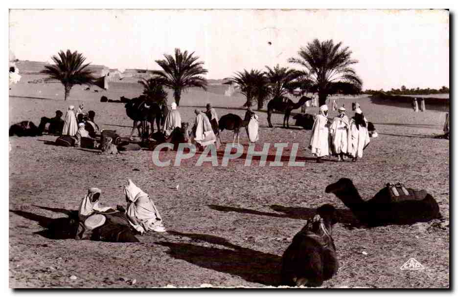 CPA Algerie Une halte dans le desert Camel Chameau