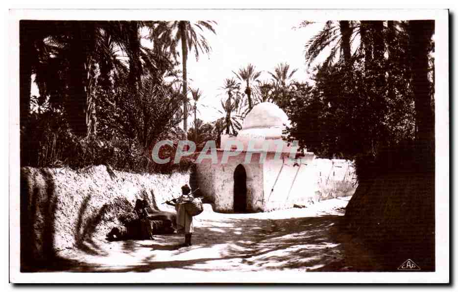 CPA Algerie Scenes et Types Marabout dans I Oasis
