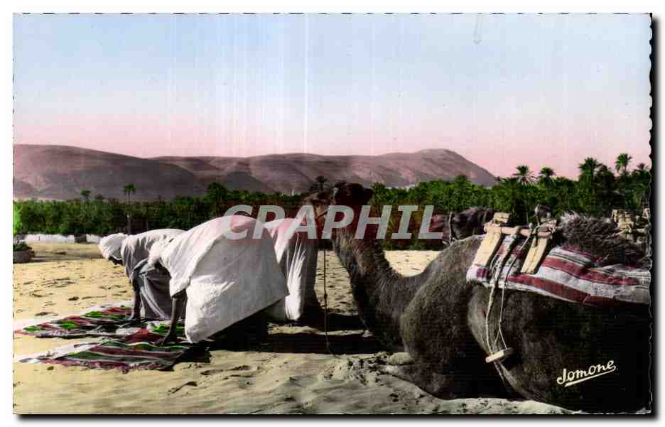 CPA Algerie BOU-SAADA Cite du Bonheur L heure de la priere