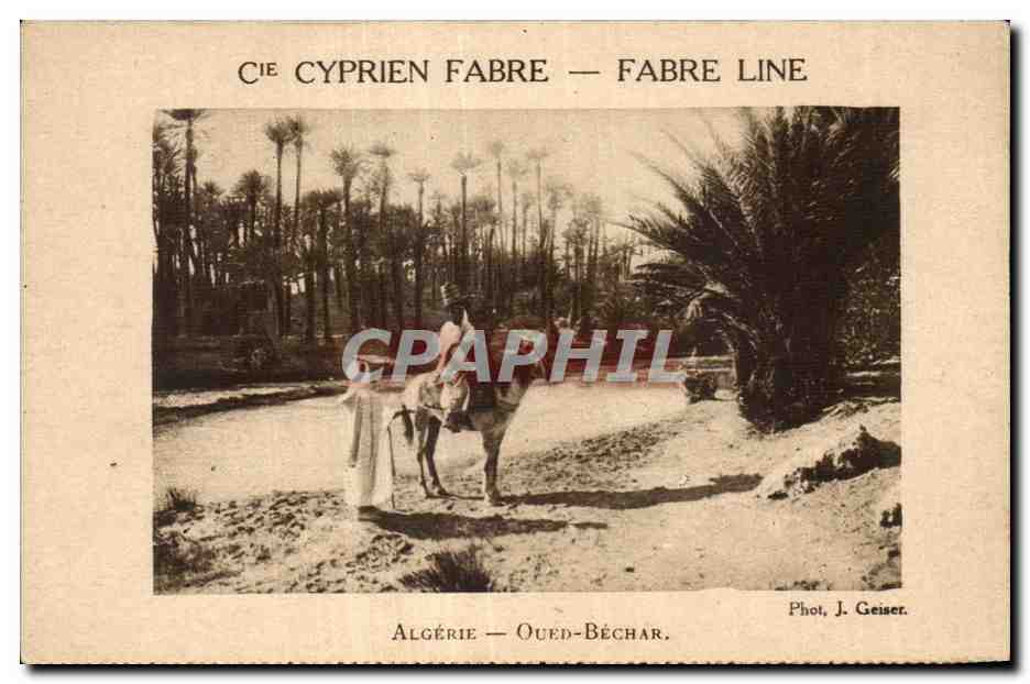 CPA Algerie ALGERIE - OUED-BECHAR