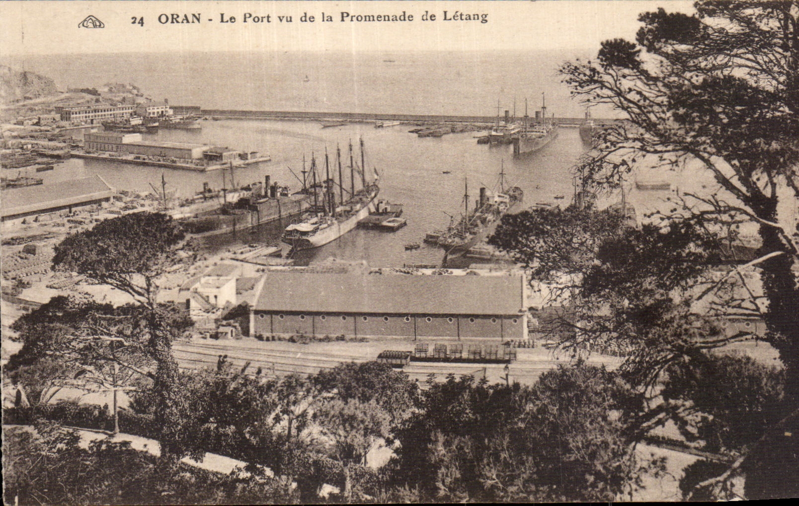 CPA Algerie Oran Le port vu de la promenade de l etang