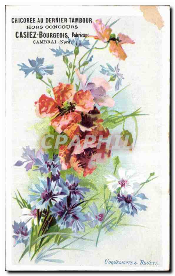 CPA Fantaisie Fleur CHICOREE AU DERNIER TAMBOUR HORS CONCOURS CASIEZ-BOURGEOIS FABRICANT CAMBRAI (Nord)