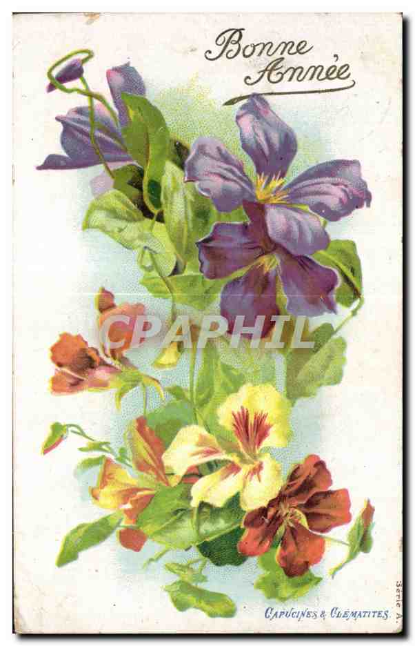 CPA Fantaisie Fleur Bonne annee