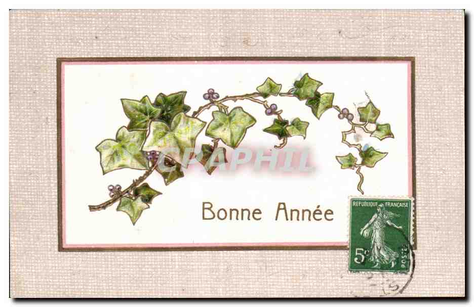 CPA Fantaisie Fleurs Bonne Annee