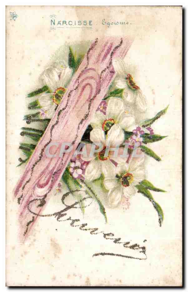 CPA Fantaisie Fleurs Narcisse