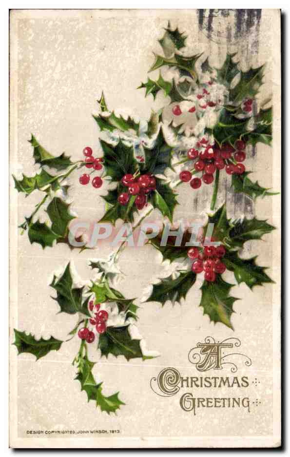 CPA Fantaise Fleurs CHRISTMAS GREETING Noel