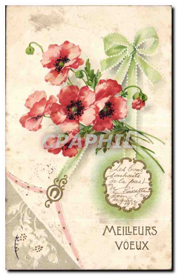 CPA Fantaisie Fleurs MEILLEURS VOEUX