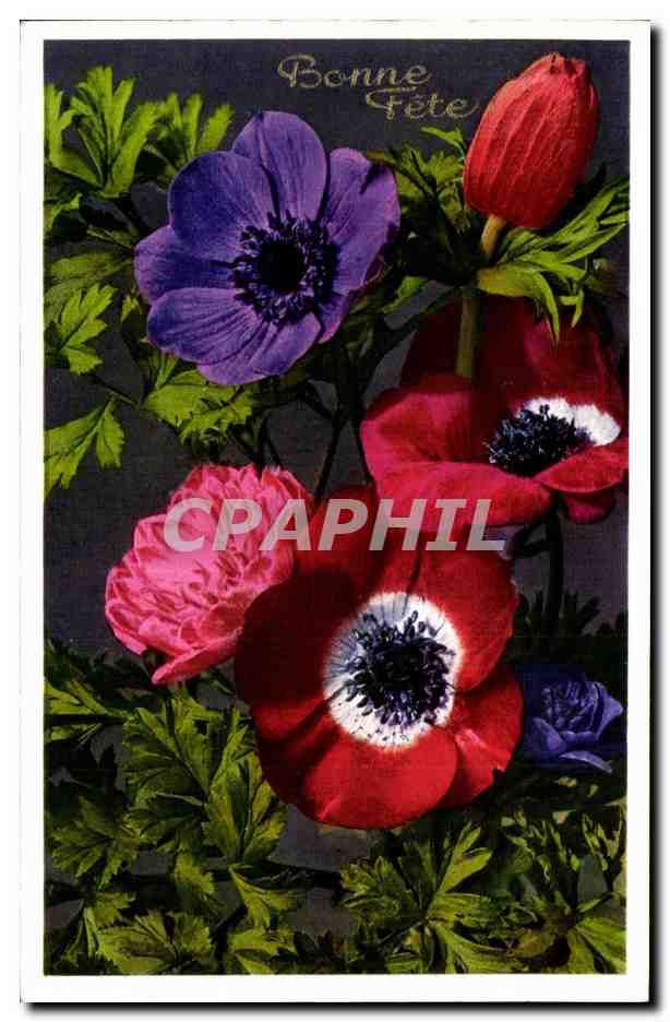 CPA Fantaisie Fleurs 
