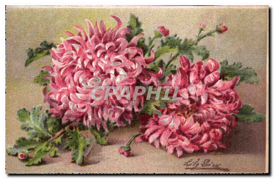CPA Fantaisie Fleurs 