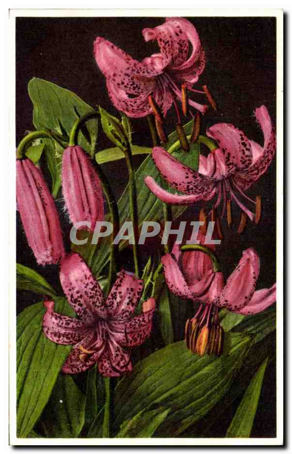 CPA Fantaisie Fleurs 