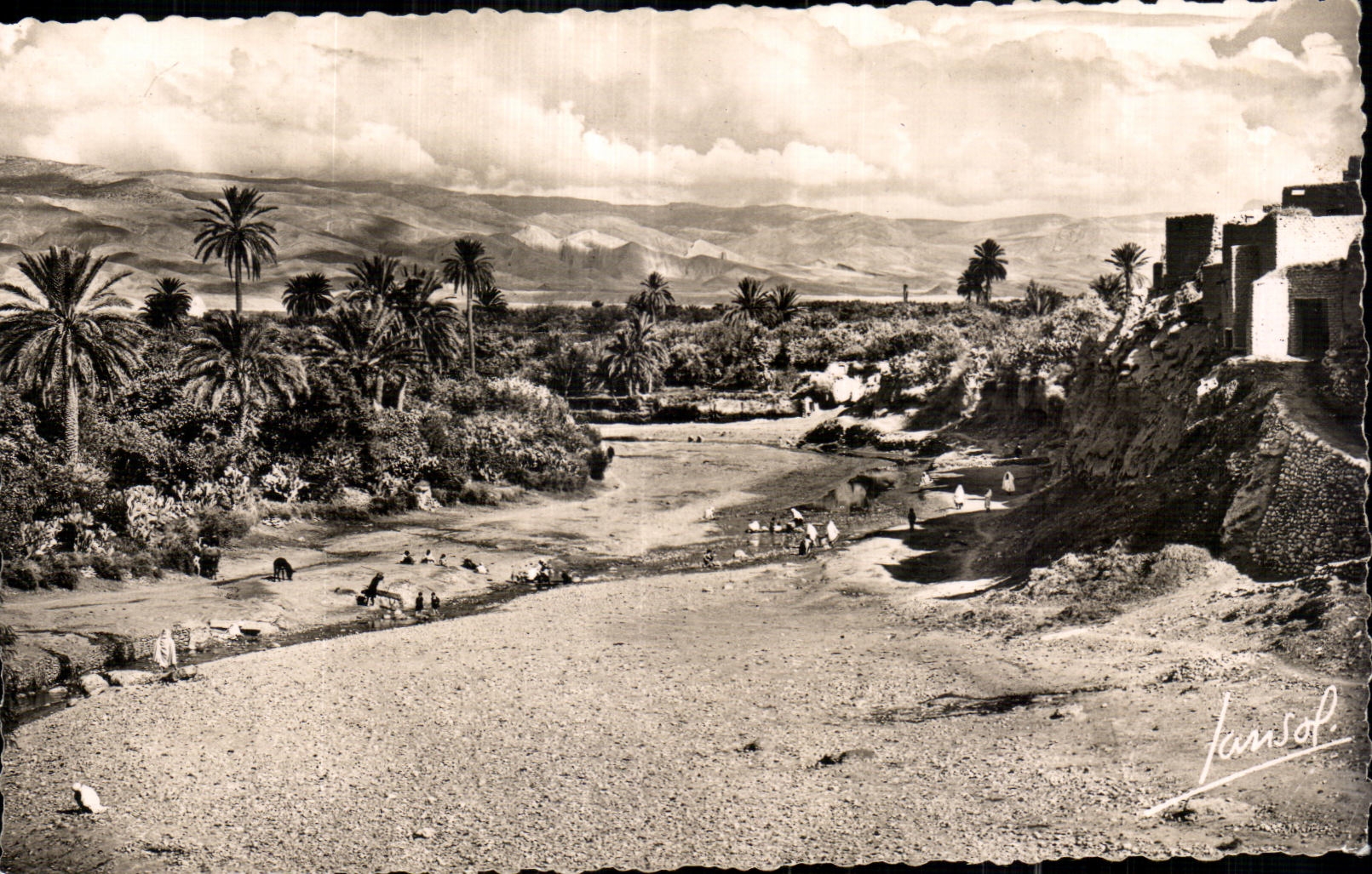 CPA Algerie Paysages du Sud Oued dans la Pameraie