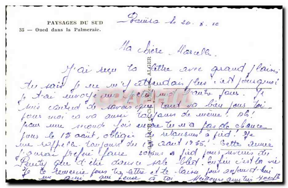 CPA Algerie Paysages du Sud Oued dans la Pameraie — Rückseite