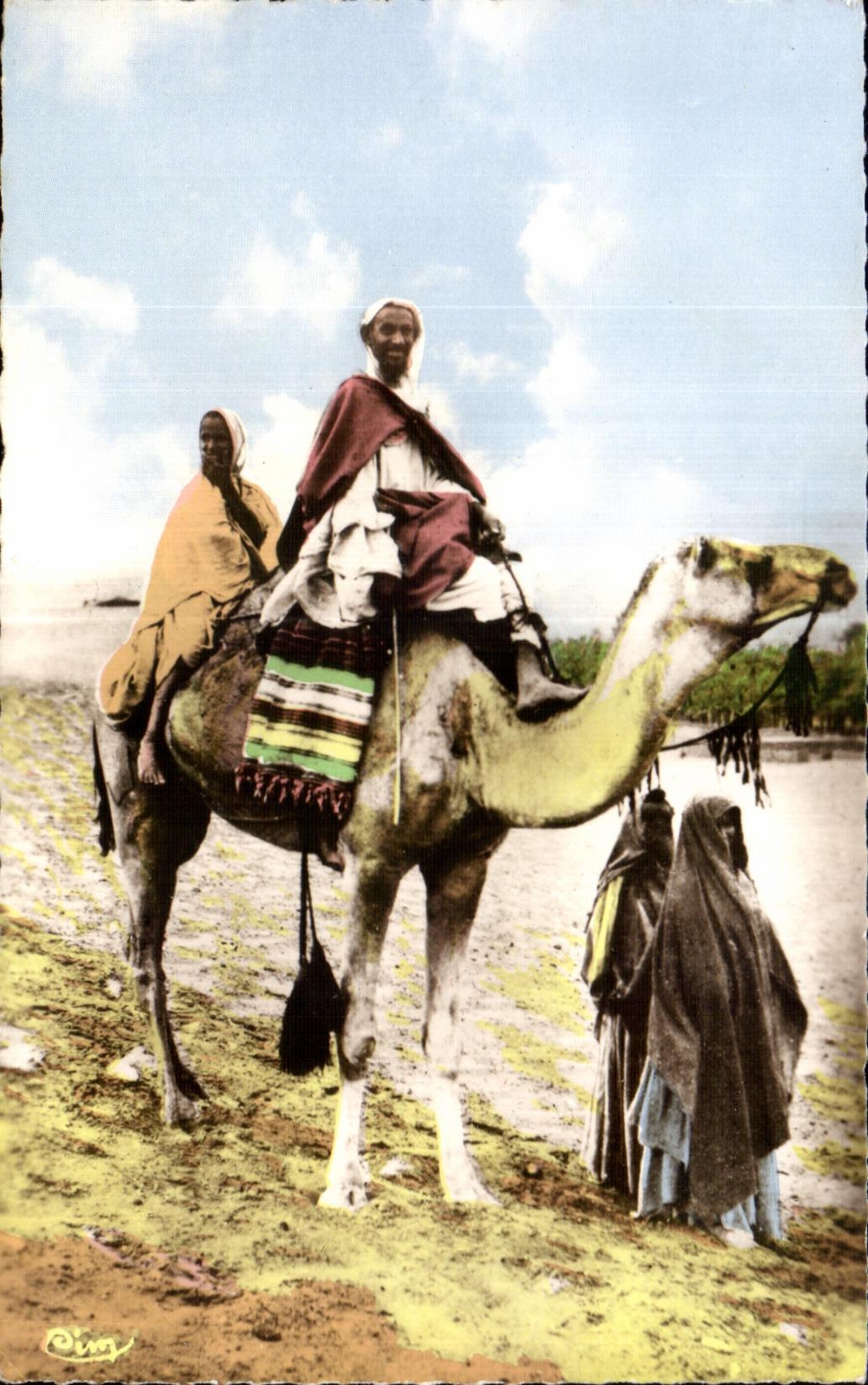 CPA Algerie Chameau Camel Un Marabout
