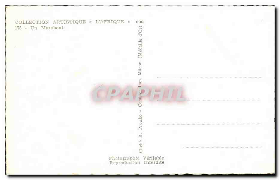 CPA Algerie Chameau Camel Un Marabout — Rückseite
